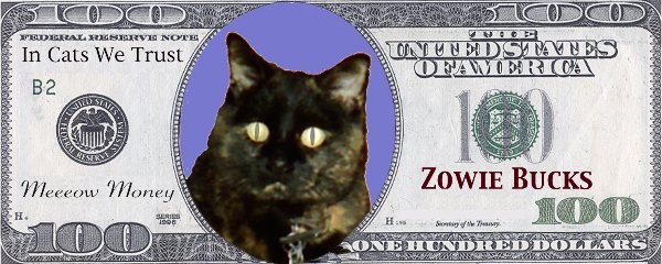 $100 bill with photo of Zowie, the black cat in the middle